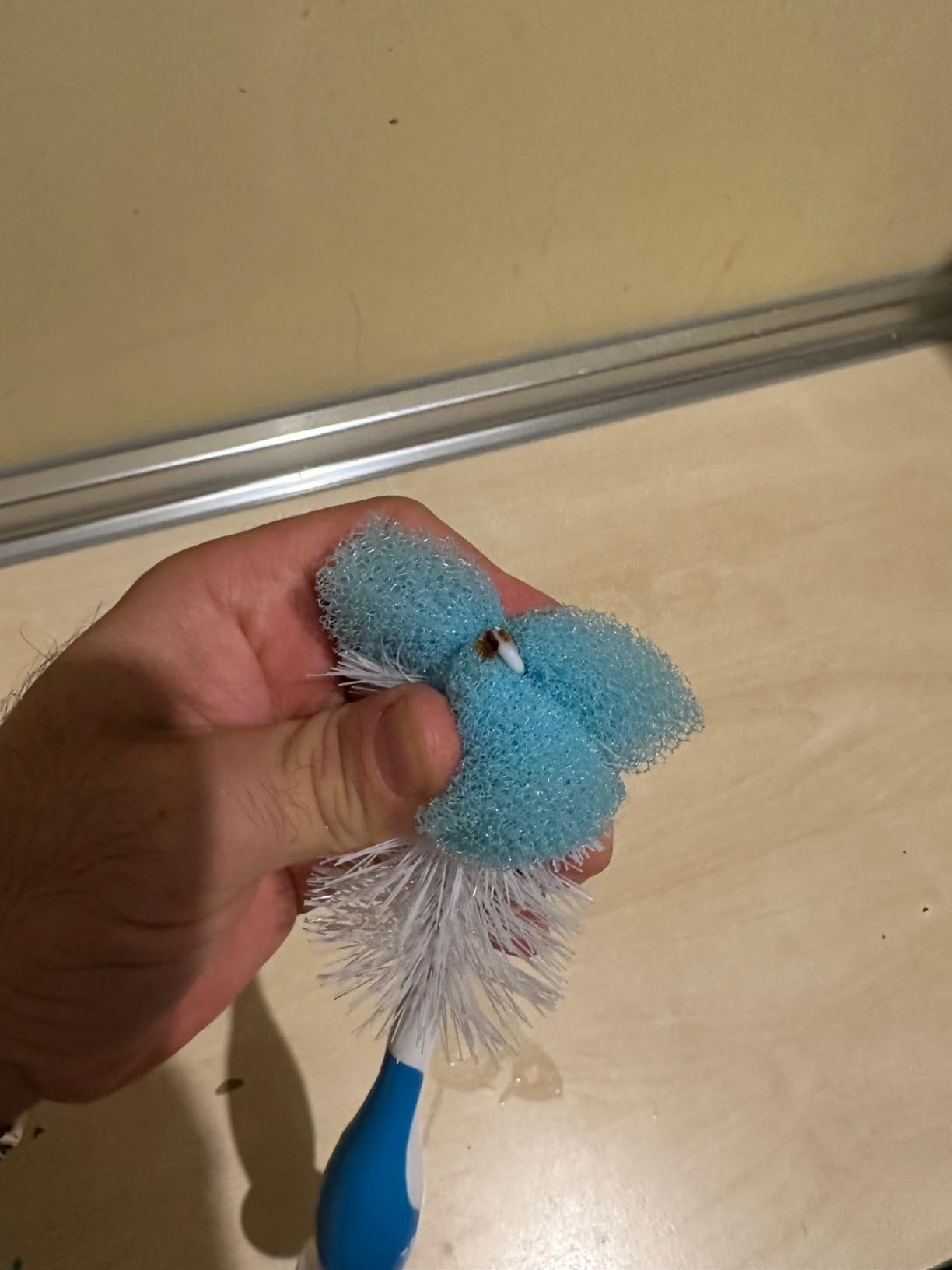 Deux brosses pour ce prix, top !
