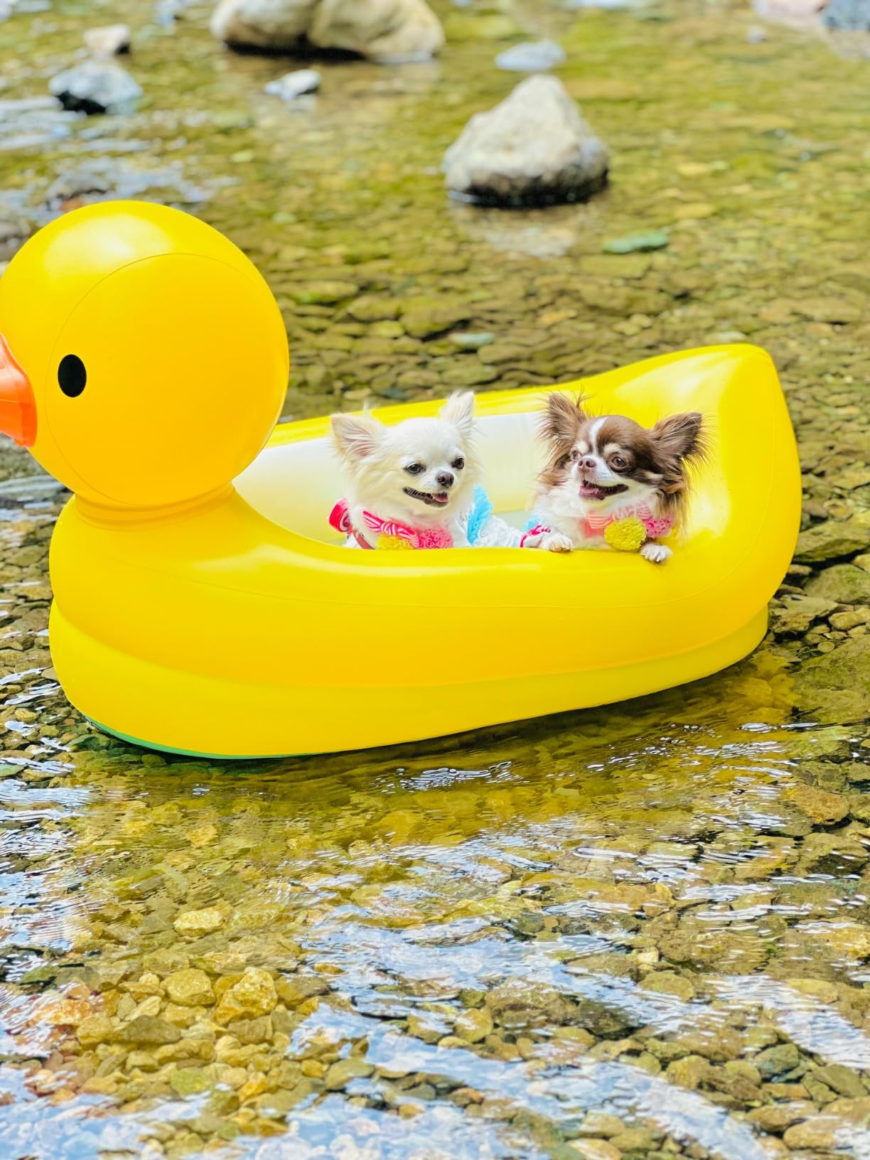 Le bain devient un jeu